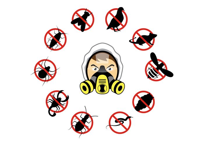 pest control West Delhi effective solution