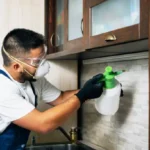 Best pest control in Rajouri Garden for home and office termite cockroach mosquito insect control services Delhi NCR