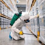 Herbal pest control South Delhi experts offering eco friendly pest solutions for homes and offices