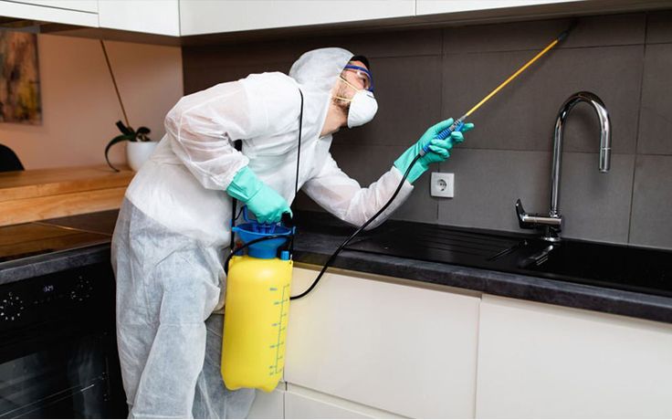 Pest control in South Delhi offering eco friendly pest removal for residential properties today