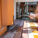 pest control service in dwarka for cockroach rodent mosquito and general pest removal services