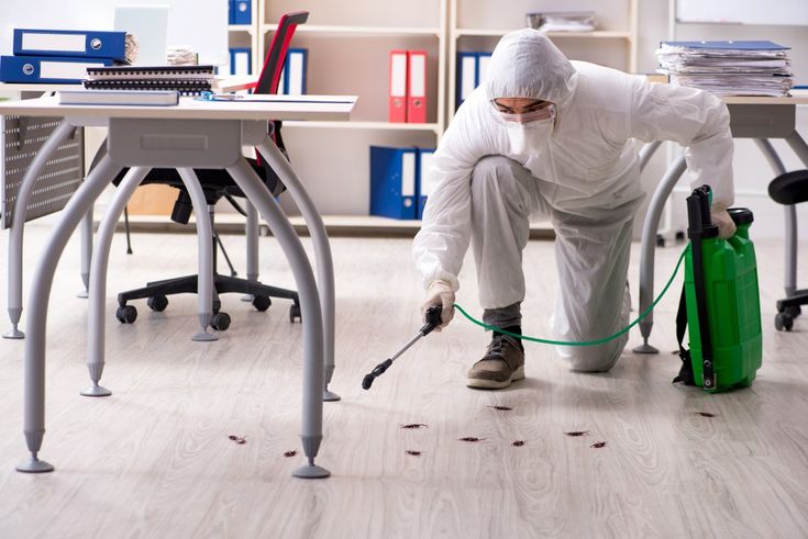 Pest control company in Delhi NCR providing safe and effective pest treatment for all properties