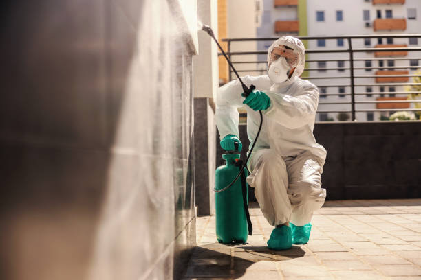 Reliable pest control in Rohini Sector 11 for cockroach, mosquito and ant control services in apartments