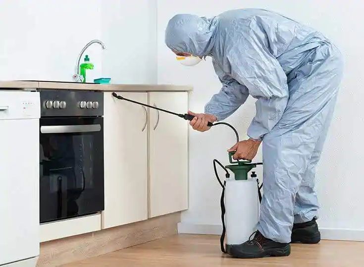 Pest control in Janakpuri for fast and reliable cockroach and rodent treatment in homes and apartments
