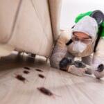 Pest control Janakpuri quick pest removal