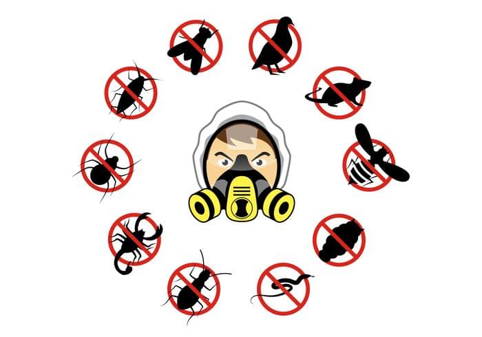 pest control West Delhi effective solution