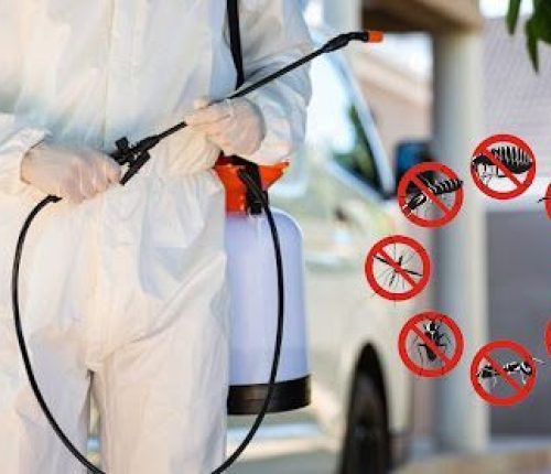 Office pest control services in West Delhi