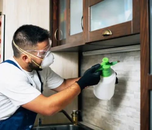 Best pest control in Rajouri Garden for home and office termite cockroach mosquito insect control services Delhi NCR