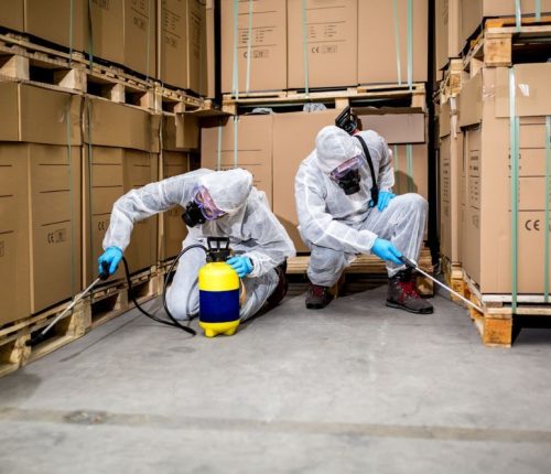 Pest control South Delhi services for homes and offices with safe and effective pest removal solutions today