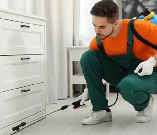 Pest control Saket experts providing eco friendly pest management services for homes and offices