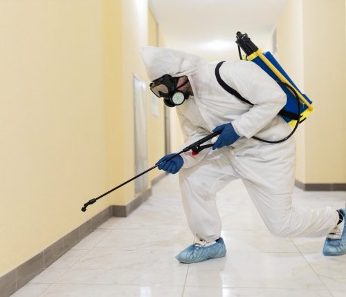 Pest control service Rajouri Garden expert solutions for termite cockroach mosquito insect ant and fly control treatment