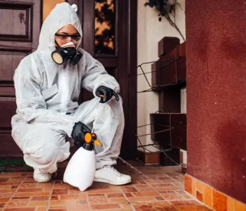 pest control in dwarka sector 7