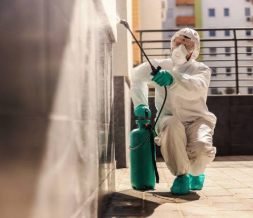 Reliable pest control in Rohini Sector 11 for cockroach, mosquito and ant control services in apartments