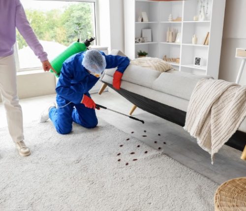 Pest control service Uttam Nagar for termite treatment, cockroach control and mosquito pest management