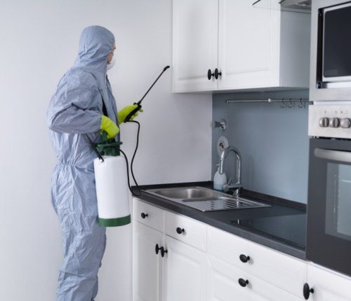 Best pest control Janakpuri Delhi for cockroach, bed bug, mosquito and termite control services